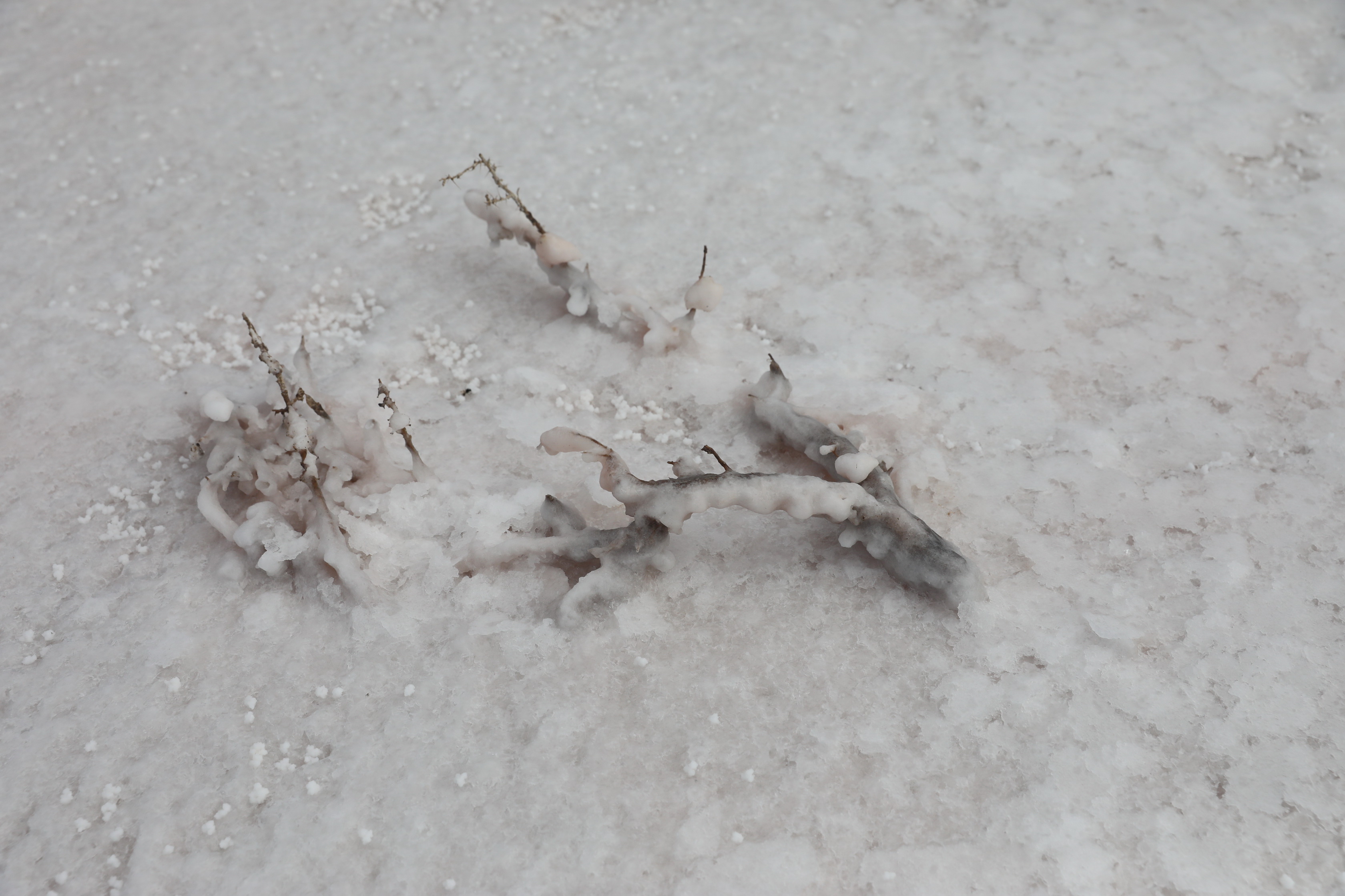 2019 09 02 12 49 41 Canon EOS 5D Mark IV 0025